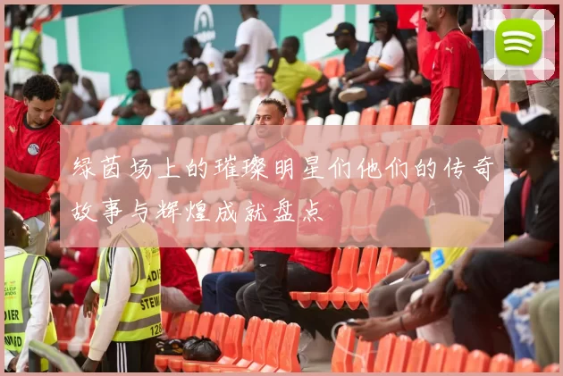 绿茵场上的璀璨明星们他们的传奇故事与辉煌成就盘点