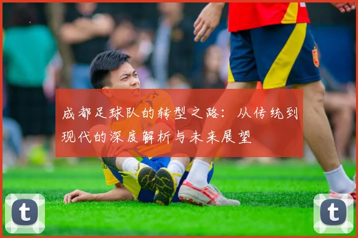 成都足球队的转型之路：从传统到现代的深度解析与未来展望