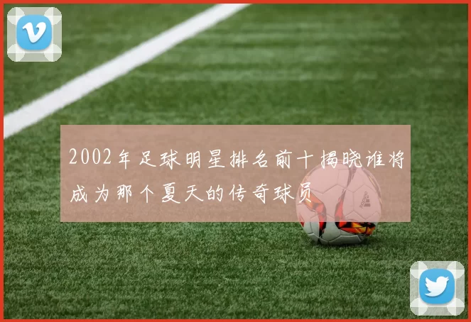 2002年足球明星排名前十揭晓谁将成为那个夏天的传奇球员