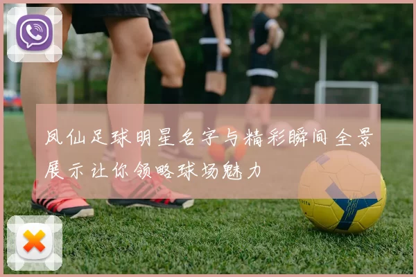 凤仙足球明星名字与精彩瞬间全景展示让你领略球场魅力