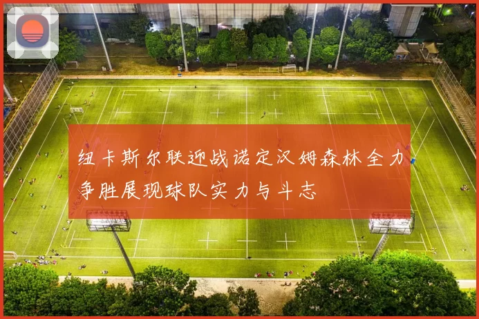 纽卡斯尔联迎战诺定汉姆森林全力争胜展现球队实力与斗志