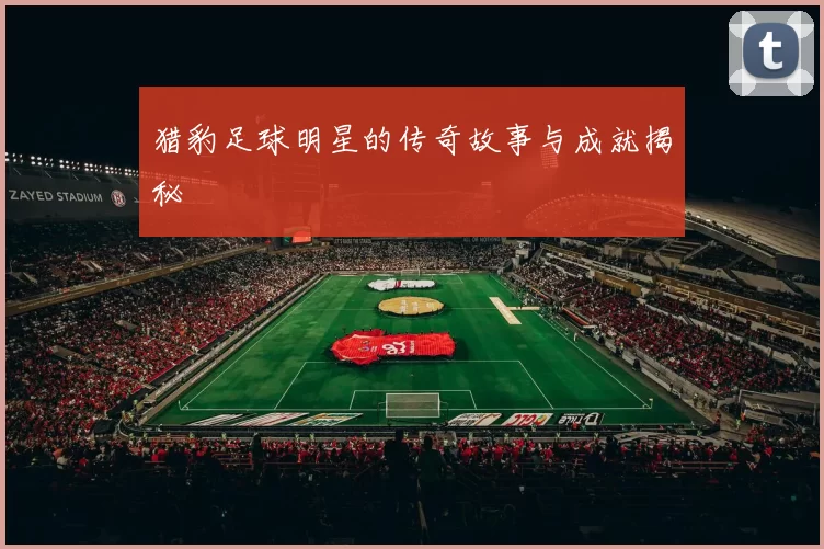猎豹足球明星的传奇故事与成就揭秘