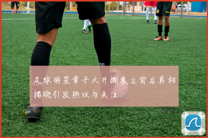 足球明星章子大开撕袁立背后真相揭晓引发热议与关注