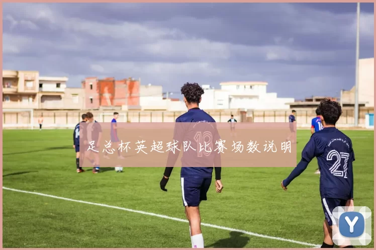 足总杯英超球队比赛场数说明