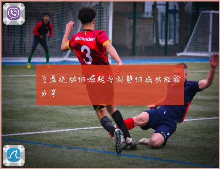 飞盘运动的崛起与刘静的成功经验分享