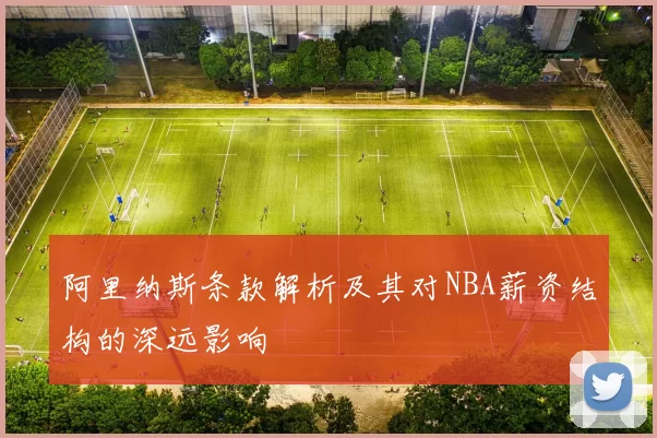 阿里纳斯条款解析及其对NBA薪资结构的深远影响